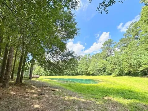 25920 Grand Pines Magnolia TX 77355