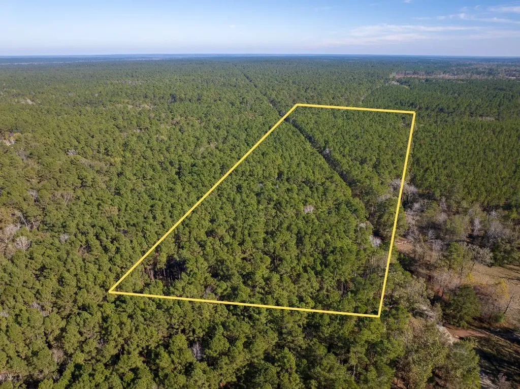 000 Forest Service Road 527 Apple Springs TX 75926