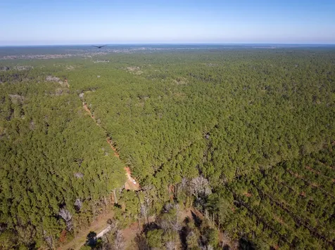 000 Forest Service Road 527 Apple Springs TX 75926
