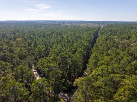 000 Forest Service Road 527 Apple Springs TX 75926