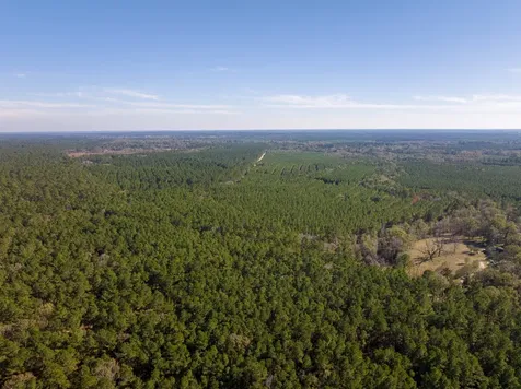 000 Forest Service Road 527 Apple Springs TX 75926