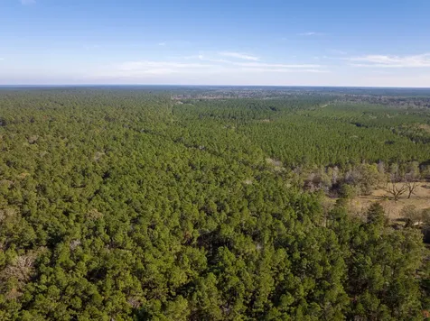 000 Forest Service Road 527 Apple Springs TX 75926