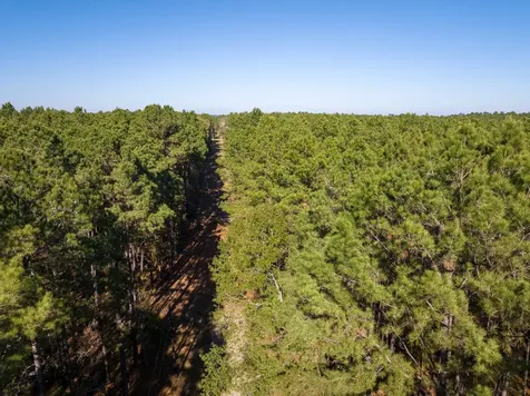 000 Forest Service Road 527 Apple Springs TX 75926