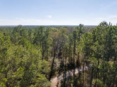000 Forest Service Road 527 Apple Springs TX 75926