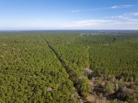 000 Forest Service Road 527 Apple Springs TX 75926