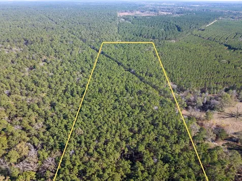000 Forest Service Road 527 Apple Springs TX 75926