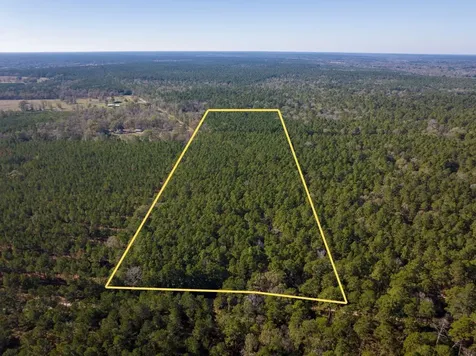 000 Forest Service Road 527 Apple Springs TX 75926