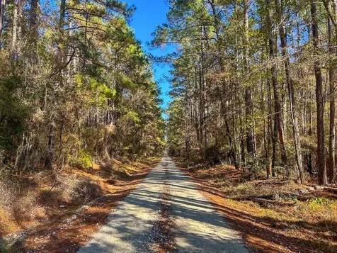 000 Forest Service Road 527 Apple Springs TX 75926