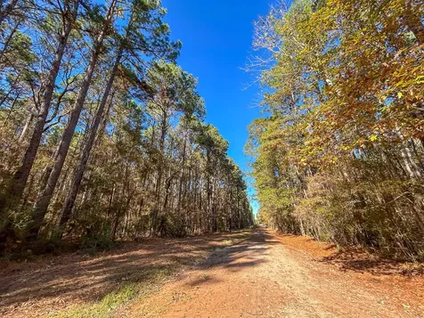 000 Forest Service Road 527 Apple Springs TX 75926