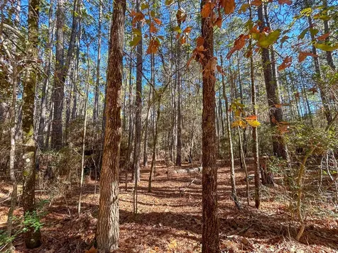 000 Forest Service Road 527 Apple Springs TX 75926