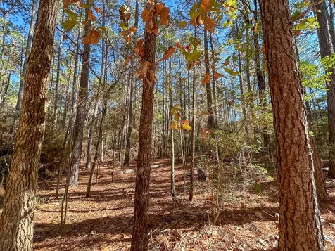 000 Forest Service Road 527 Apple Springs TX 75926