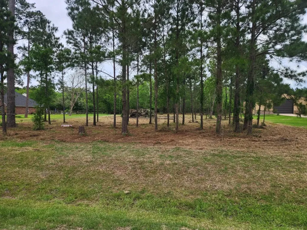 7203 Bayou Timbers Drive Alvin TX 77511