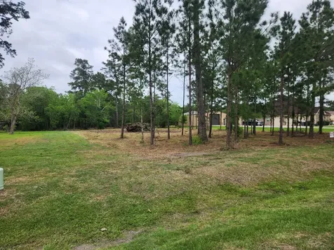 7203 Bayou Timbers Drive Alvin TX 77511