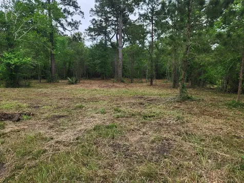 7203 Bayou Timbers Drive Alvin TX 77511