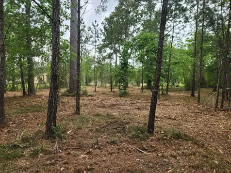 7203 Bayou Timbers Drive Alvin TX 77511