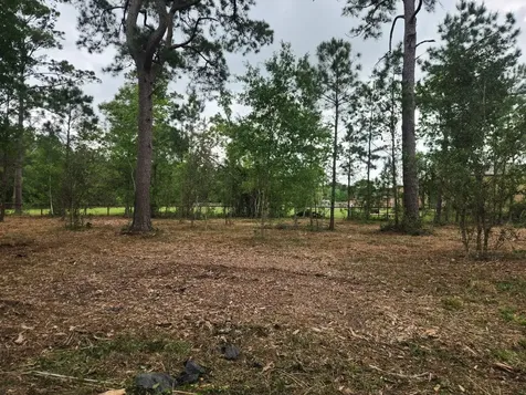 7203 Bayou Timbers Drive Alvin TX 77511