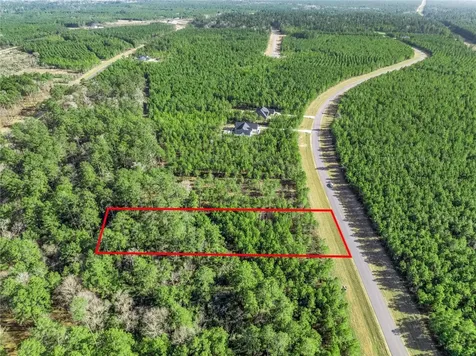 15762 Wood Grove Way Willis TX 77378