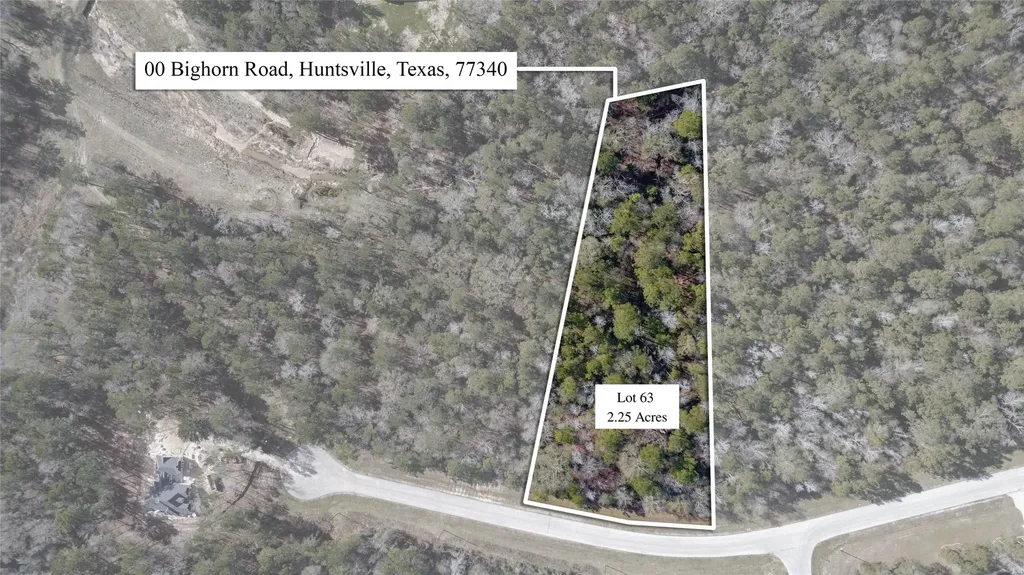 00 Bighorn Road Huntsville TX 77340