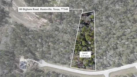 00 Bighorn Road Huntsville TX 77340