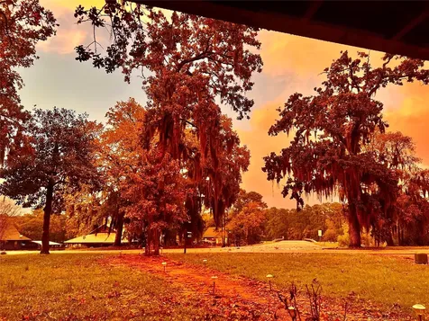 1 West Forest Drive Huntsville TX 77340