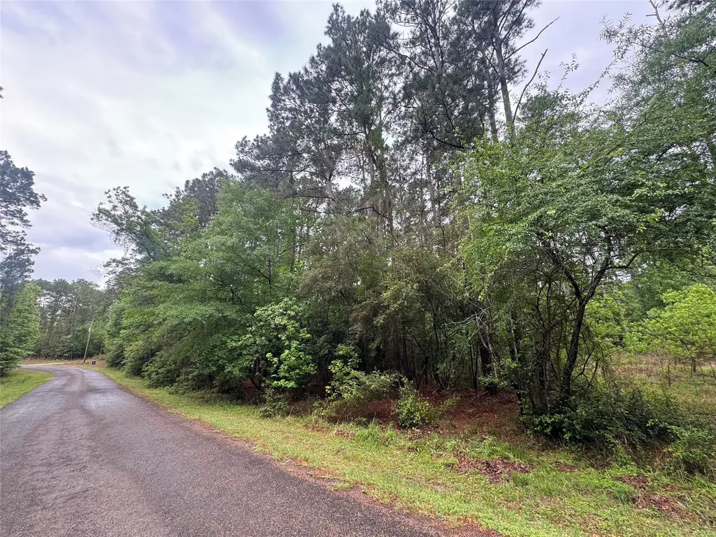 0 Whisperwood Drive Onalaska TX 77360
