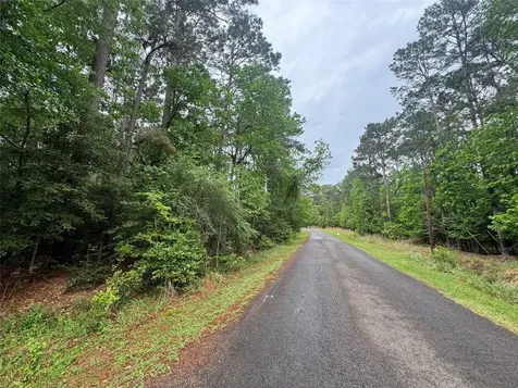 0 Whisperwood Drive Onalaska TX 77360