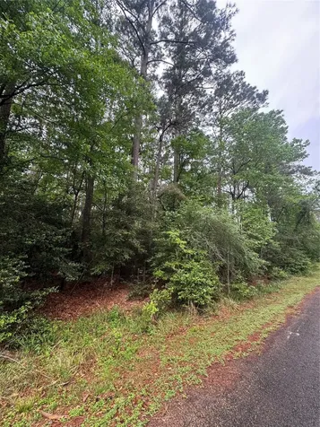 0 Whisperwood Drive Onalaska TX 77360