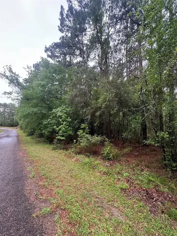0 Whisperwood Drive Onalaska TX 77360