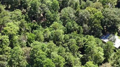 Lot 226 N Canyon Drive Onalaska TX 77360
