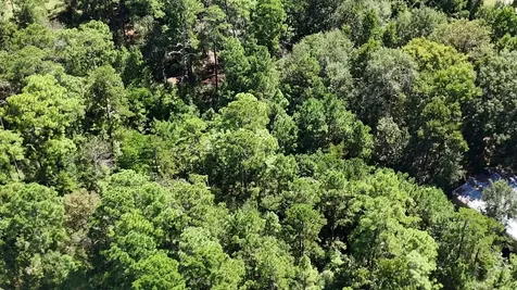 Lot 226 N Canyon Drive Onalaska TX 77360