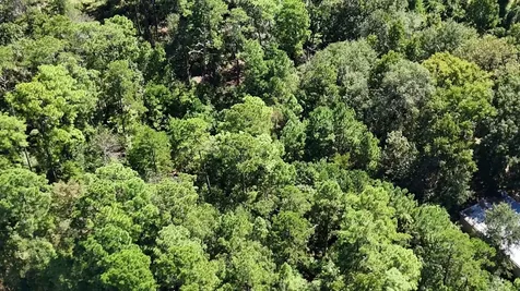 Lot 226 N Canyon Drive Onalaska TX 77360