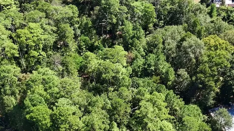 Lot 226 N Canyon Drive Onalaska TX 77360