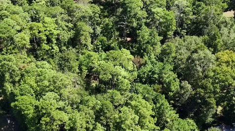 Lot 226 N Canyon Drive Onalaska TX 77360