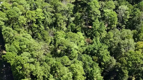 Lot 226 N Canyon Drive Onalaska TX 77360