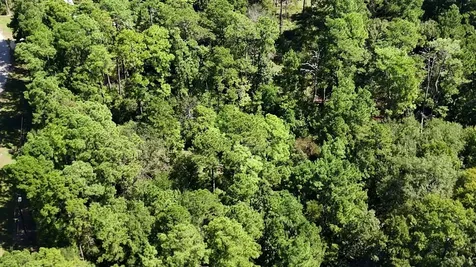 Lot 226 N Canyon Drive Onalaska TX 77360