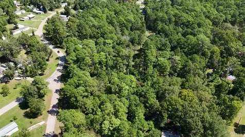Lot 226 N Canyon Drive Onalaska TX 77360