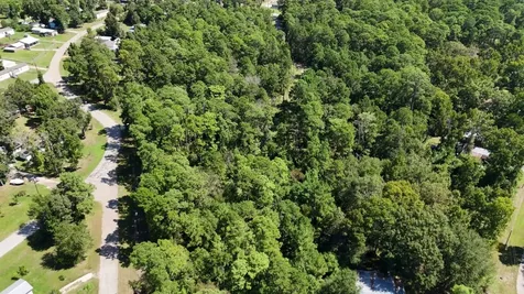Lot 226 N Canyon Drive Onalaska TX 77360