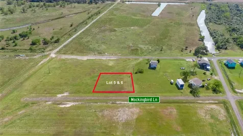 Lot 5-6 Mockingbird Lane Anahuac TX 77514