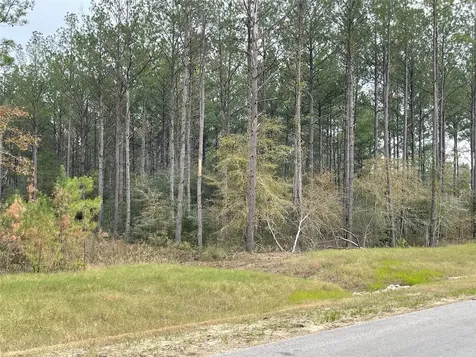 15682 Wooded Trail Way Willis TX 77378