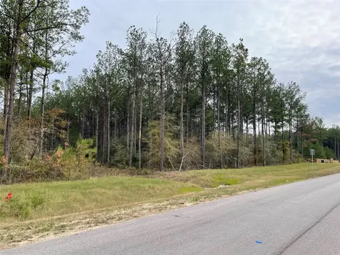 15682 Wooded Trail Way Willis TX 77378
