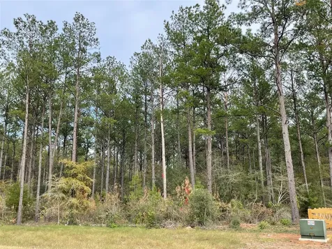 15682 Wooded Trail Way Willis TX 77378