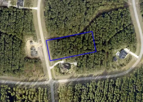 15682 Wooded Trail Way Willis TX 77378