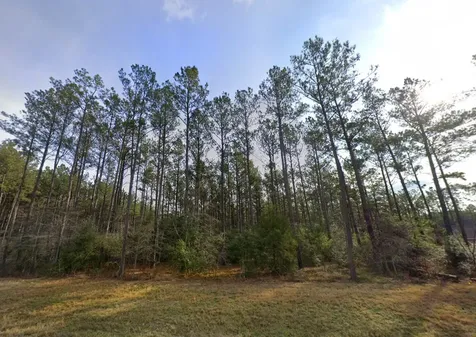 15682 Wooded Trail Way Willis TX 77378
