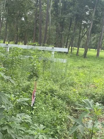 1263 Old Providence Road Livingston TX 77351