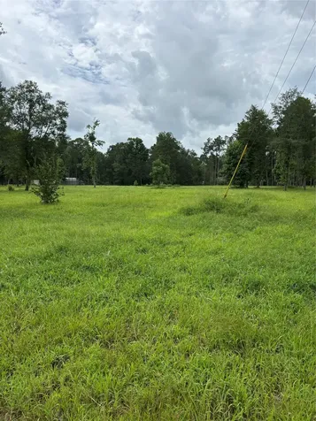 1263 Old Providence Road Livingston TX 77351
