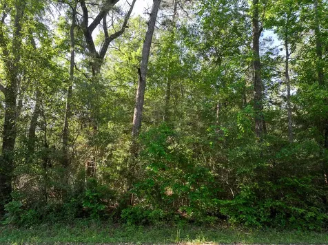 1 Fm 2610 Livingston TX 77351
