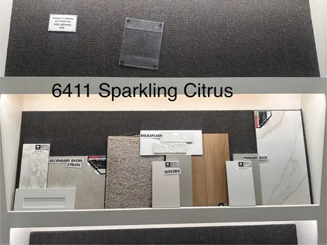 6411 Sparkling Citrus Street Manvel TX 77578