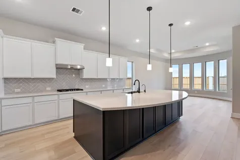 6411 Sparkling Citrus Street Manvel TX 77578