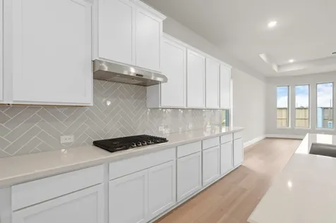 6411 Sparkling Citrus Street Manvel TX 77578