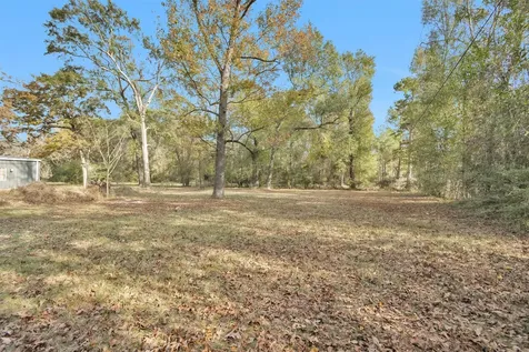 75 Pavey Circle New Waverly TX 77358